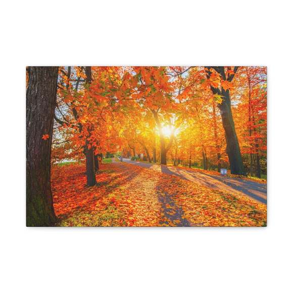 Autumn Forest Path Forest Floral Nature Photography Canvas Wall Art for Home Dec